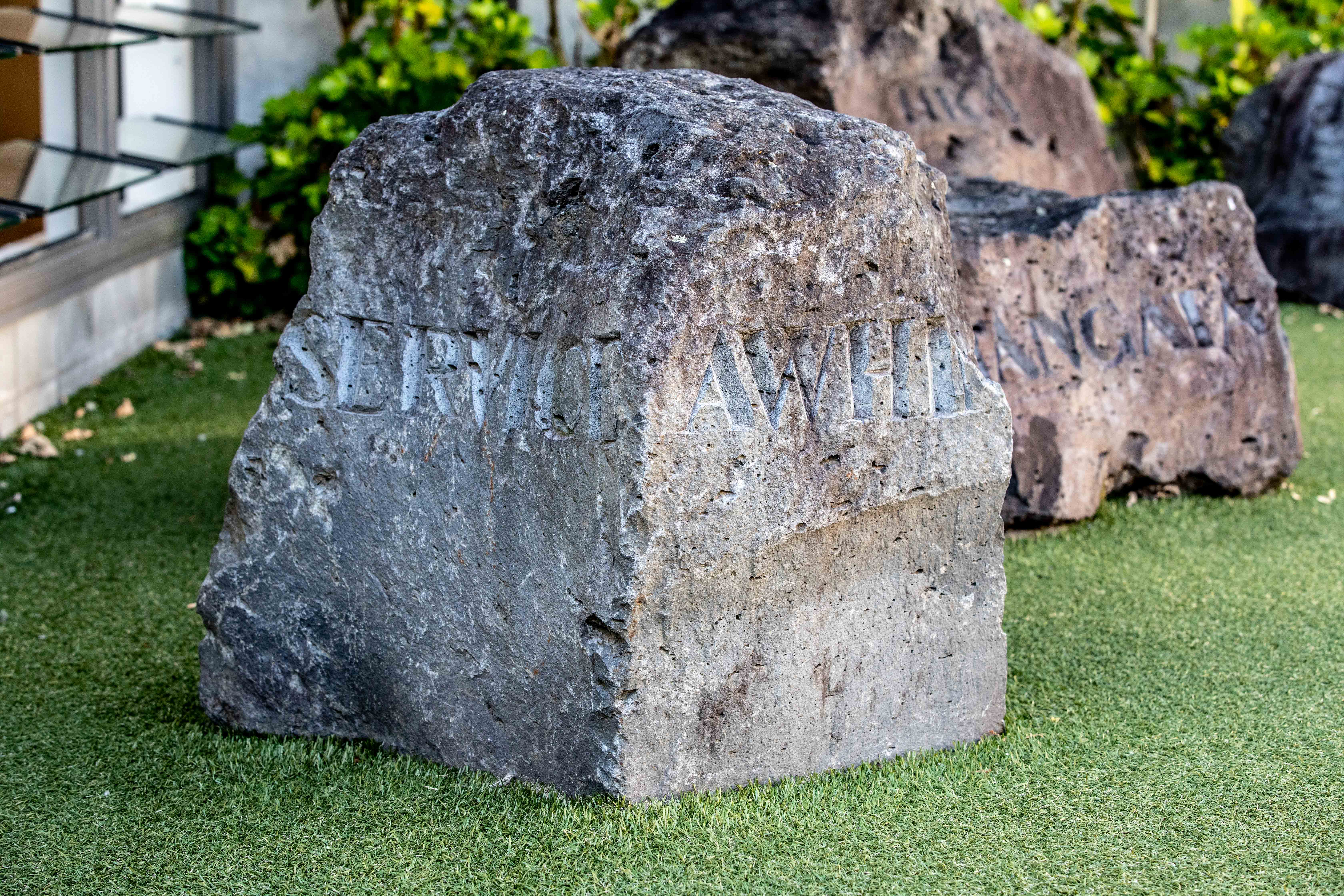 Read more about the article Student Representative on Board of Trustees for 2020