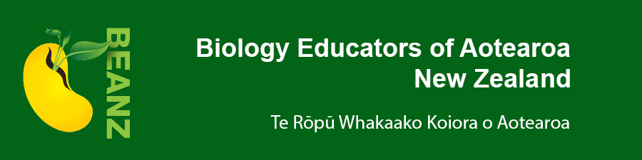 Read more about the article MoE’s free home internet programme for primary & secondary students