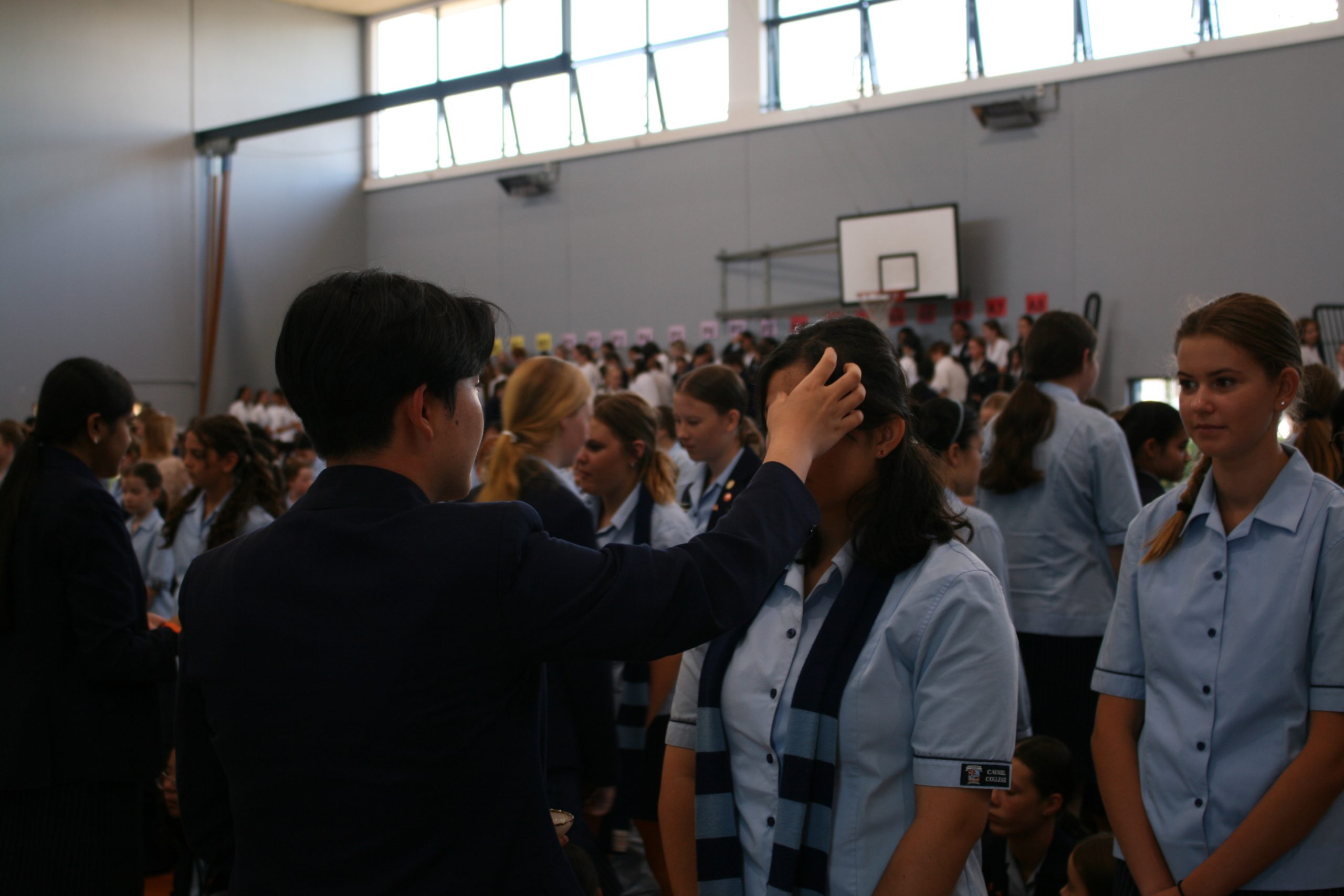 Read more about the article Catholic Character Update