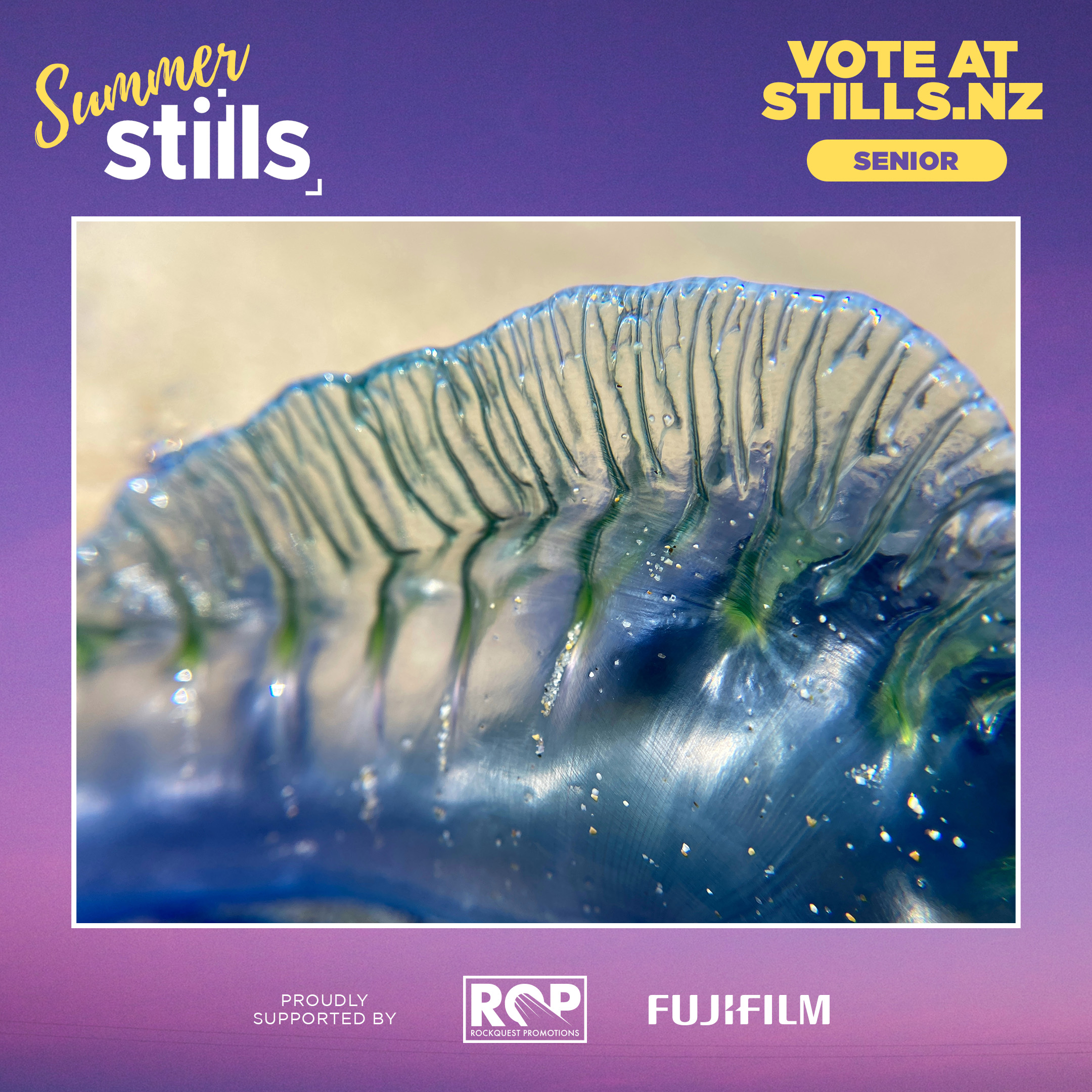 Read more about the article Carmel Student selected as Photography National Finalist