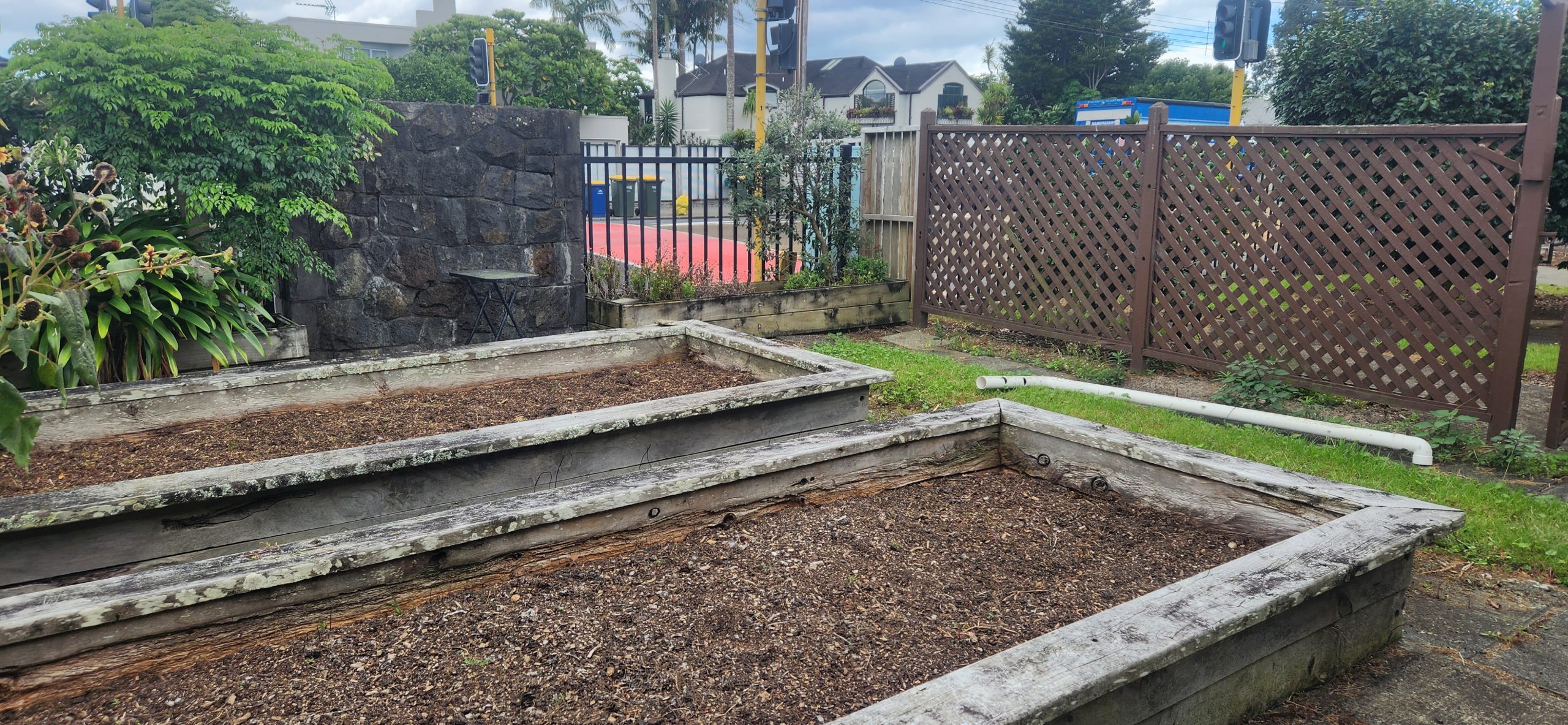 Read more about the article Can You Help Our Garden Grow?