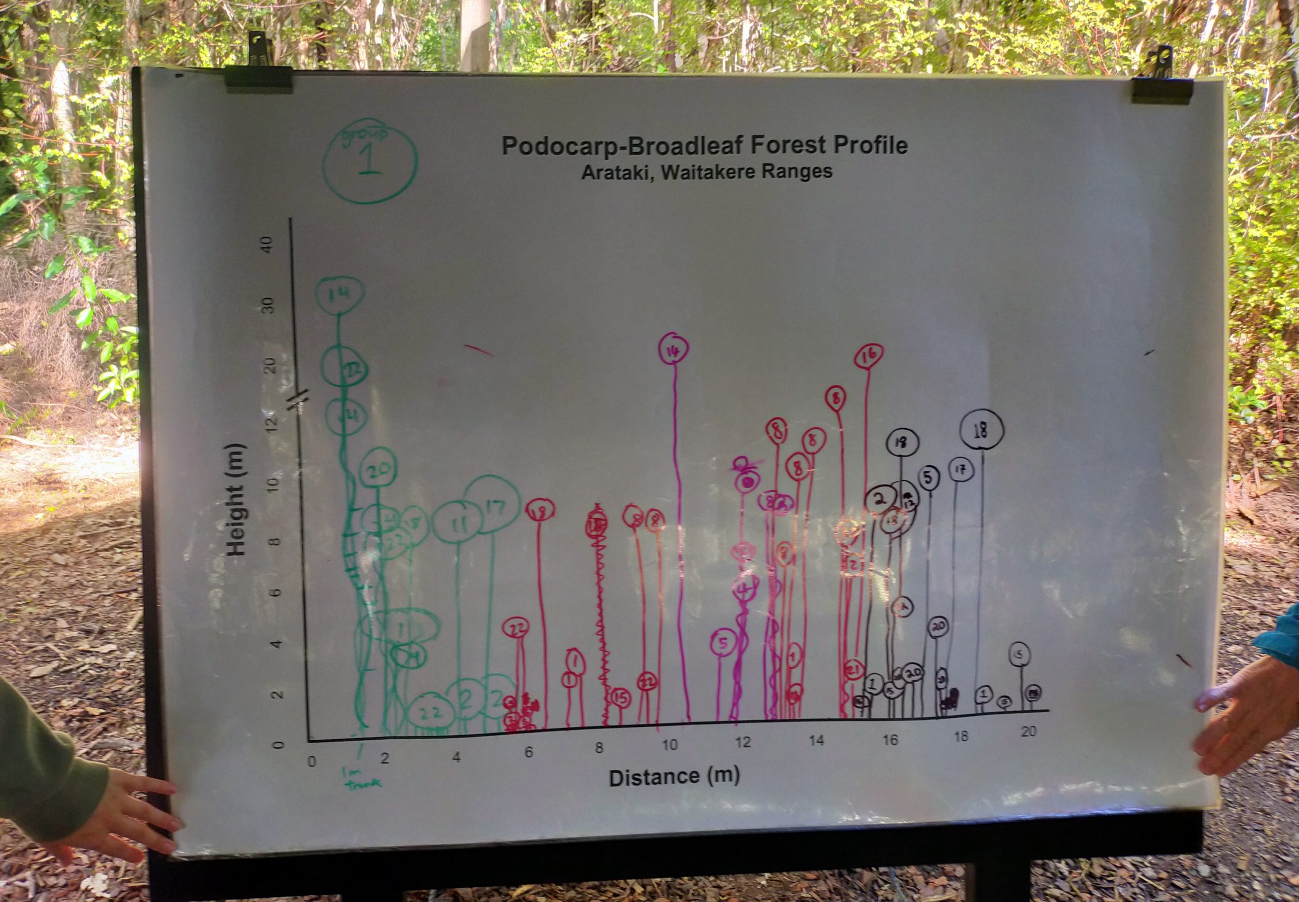 Read more about the article Year 12 Biology Visit to Arataki