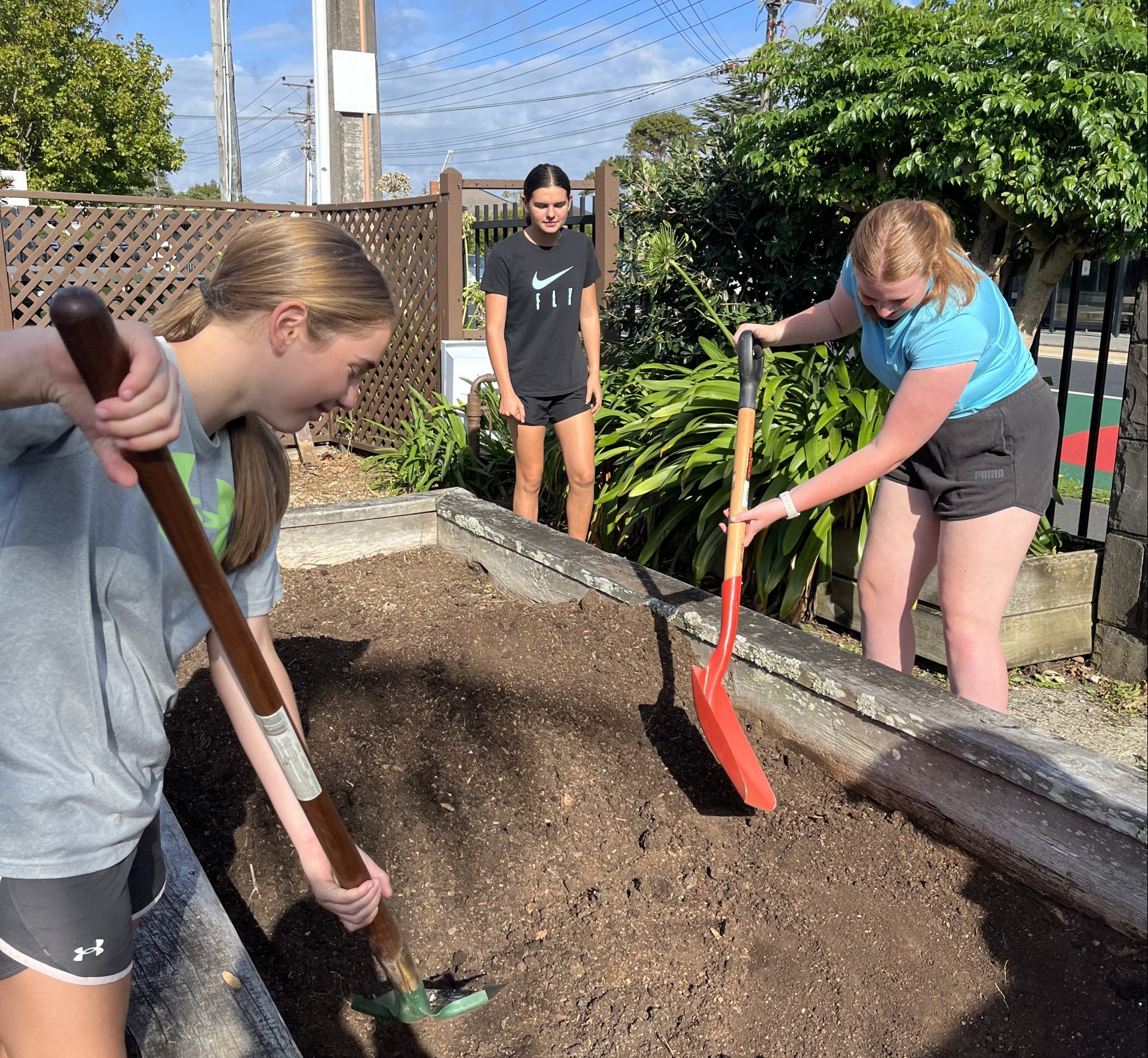 Read more about the article Our Garden is Flourishing