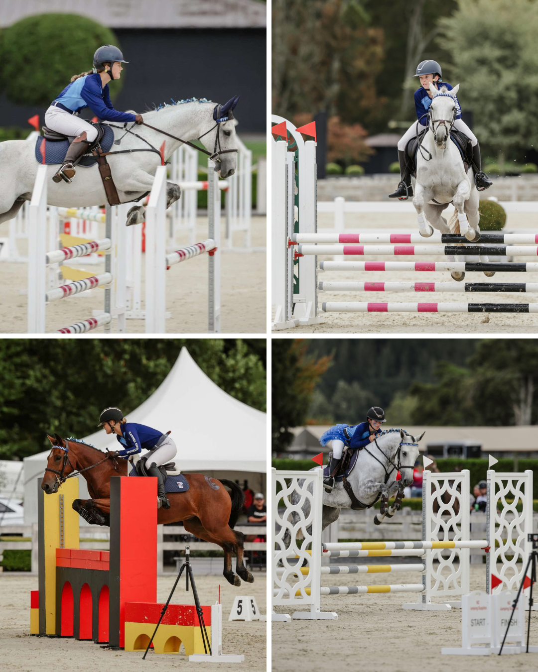 Read more about the article Sports News