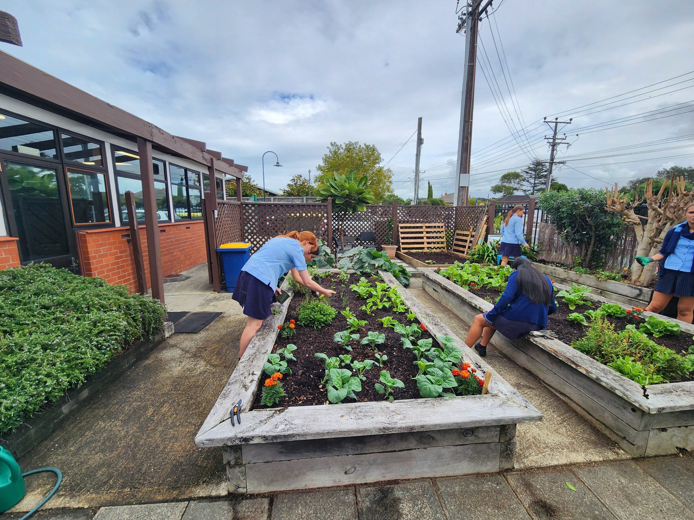 Read more about the article Te Māra Āwhina: Carmel College’s Garden of Eden