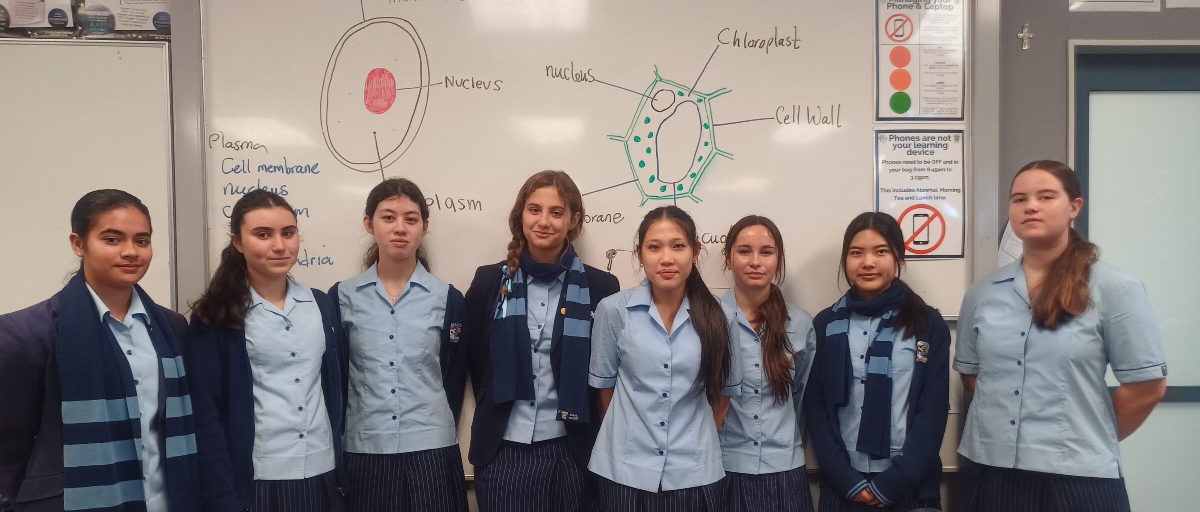 Read more about the article Success in Round One of the Brain Bee Challenge – 2025