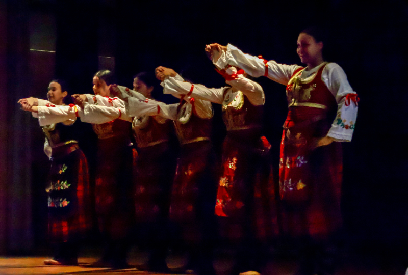 Read more about the article Celebrating Culture Week 2025