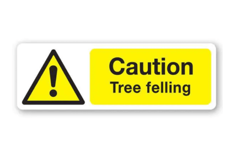 Read more about the article School Property – Oaktree Lawn 